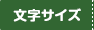 文字サイズ